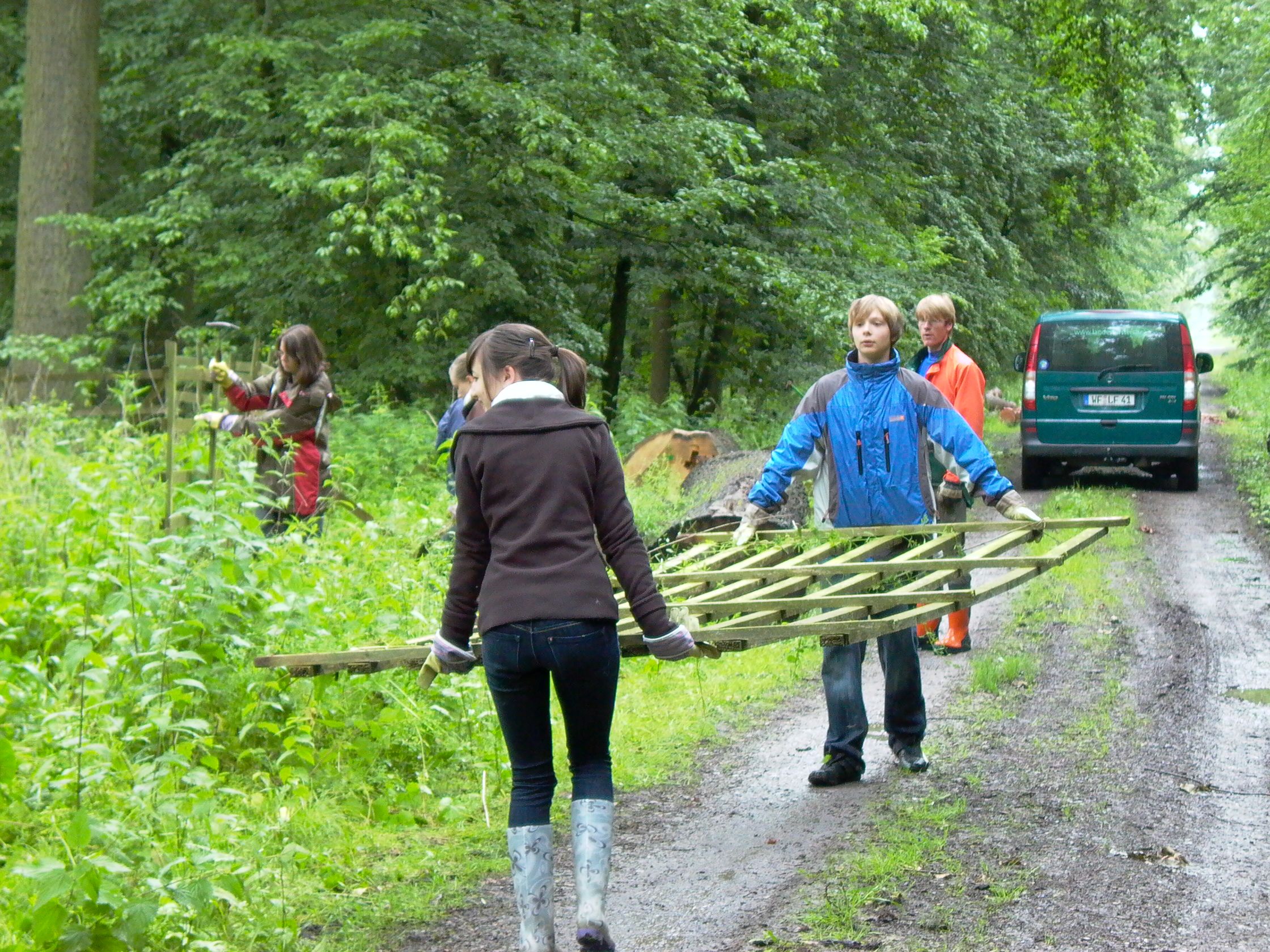 Wald.jpg