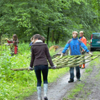 Wald.jpg