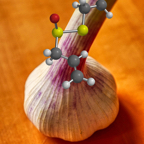 Knoblauch.jpg