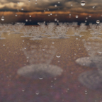 Regen.jpg